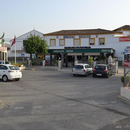 Hostal Andalucia De Arcos أركوس ديلا فرونتيرا المظهر الخارجي الصورة